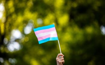 Trans flag waving