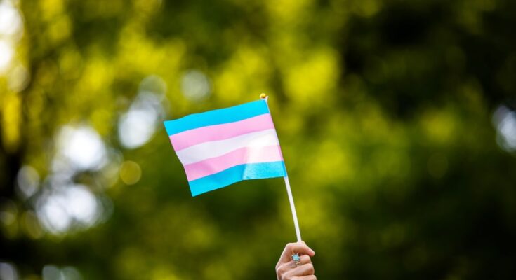 Trans flag waving